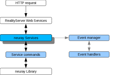 Image showing the NRS execution flow.